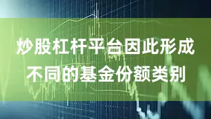 炒股杠杆平台因此形成不同的基金份额类别