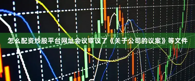 怎么配资炒股平台网址会议审议了《关于公司的议案》等文件